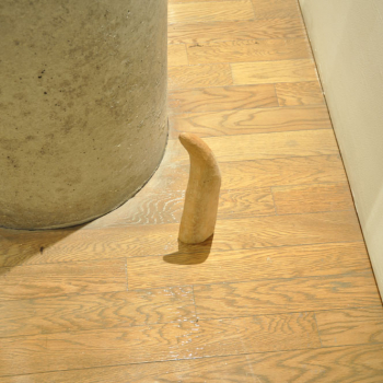 http://www.maikosugano.com/files/gimgs/th-23_DSC_0074_2w.jpg