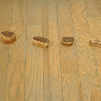 http://www.maikosugano.com/files/gimgs/th-23_DSC_0091_2w_v2.jpg
