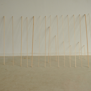 http://www.maikosugano.com/files/gimgs/th-23_DSC_0782l.jpg