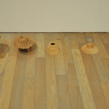 https://www.maikosugano.com:443/files/gimgs/th-23_DSC_0089_21w.jpg